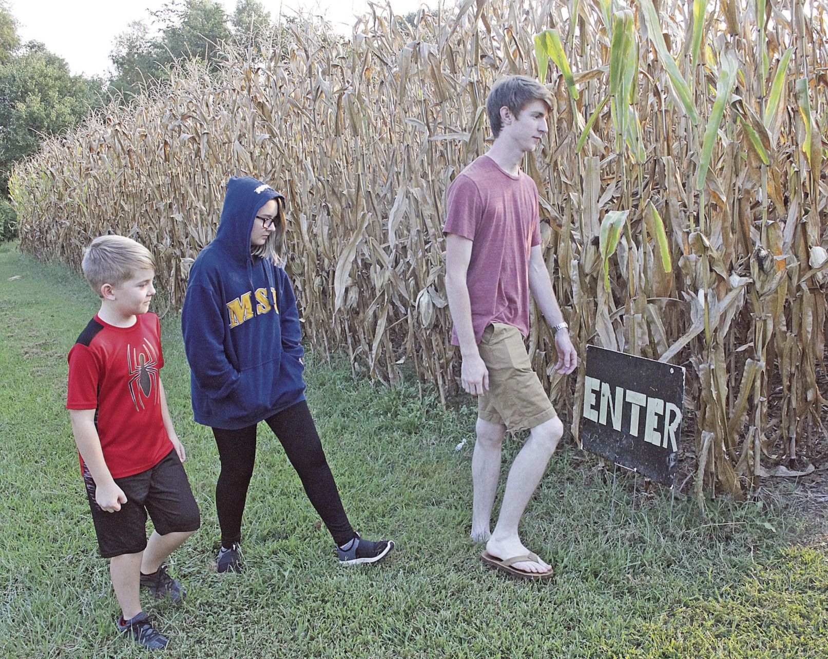 Locust Grove Corn Maze